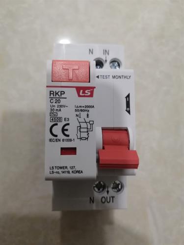 RCBO LS 1P-N 20A 30mA 4.5KA ( RKP 1P-N )